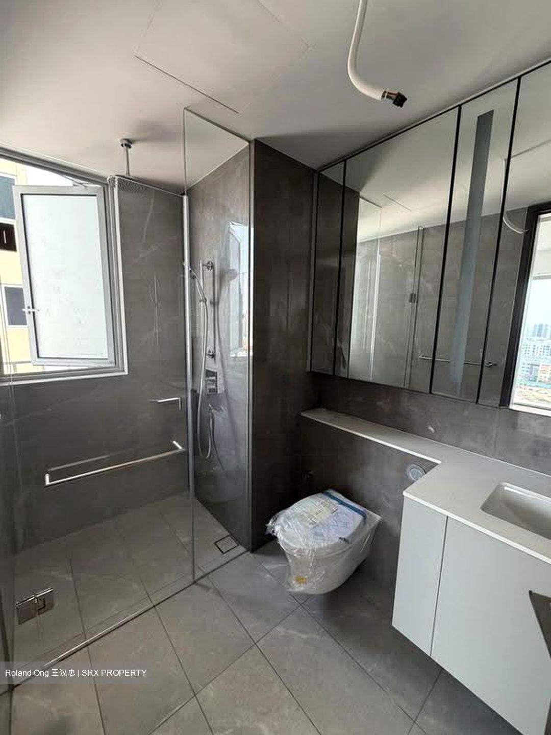 Grand Dunman (D15), Apartment #620706671